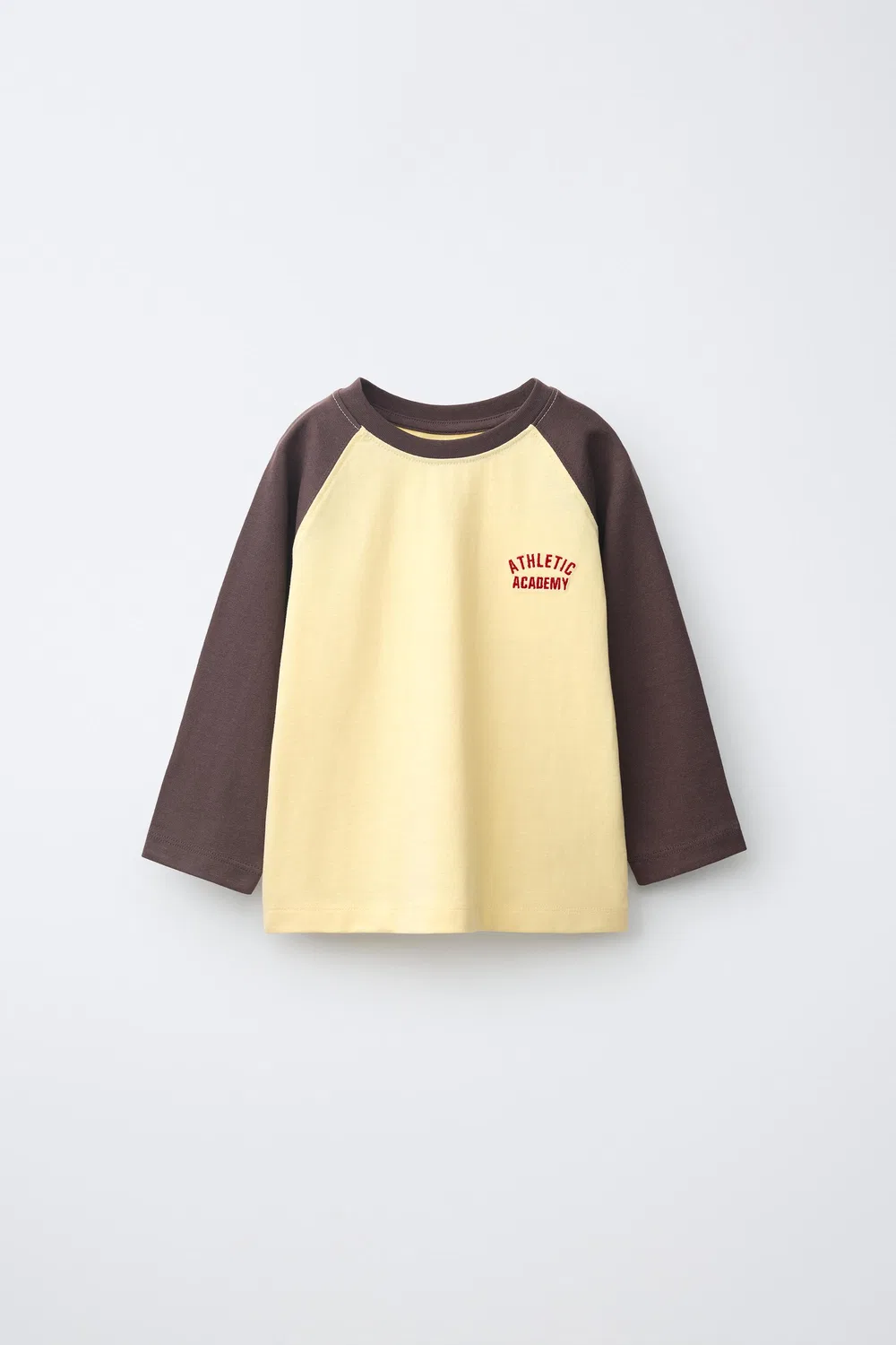 Футболка с вышитым текстом и рукавами реглан. ZARA, Brown