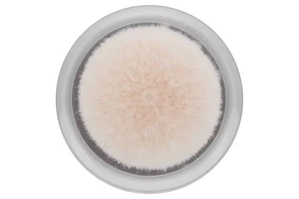

Maybelline Anti-Age Eraser Eye тональный крем, 1 light