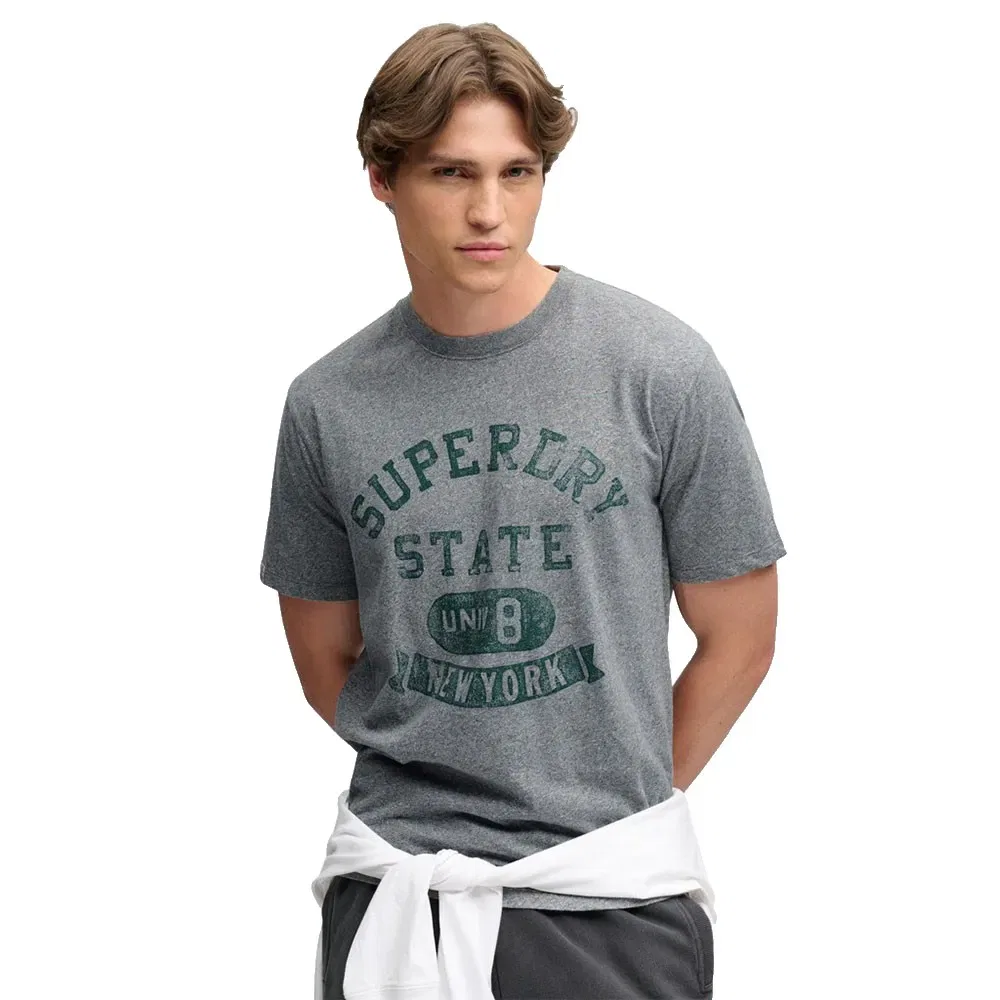 Мужская футболка свободного кроя Athletic Essential Superdry, Grey