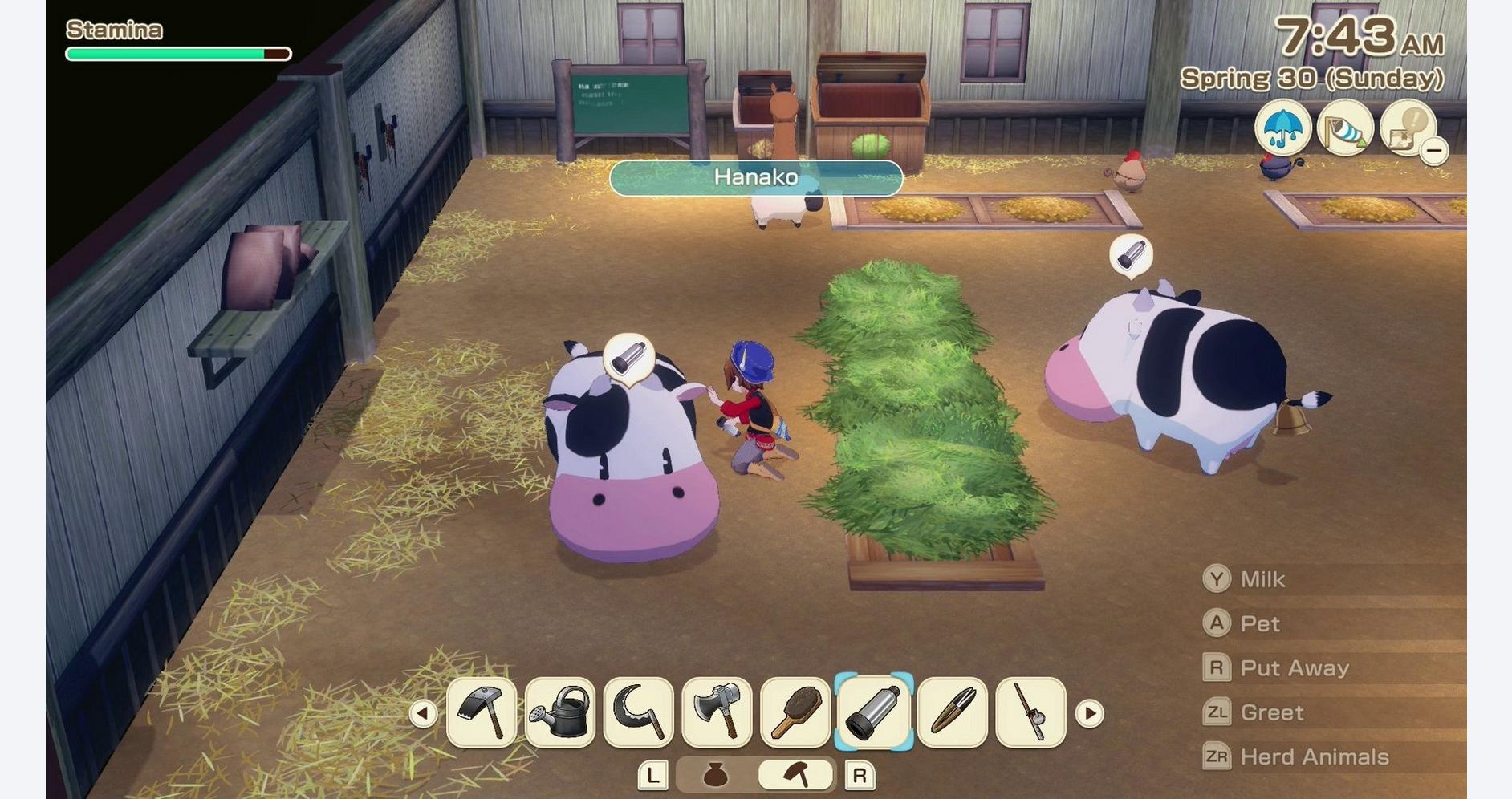 Видеоигра Story of Seasons Grand Bazaar, Nintendo Switch 2 — фото 3