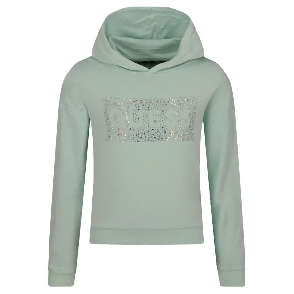 

Толстовка обычного кроя Guess, зеленый