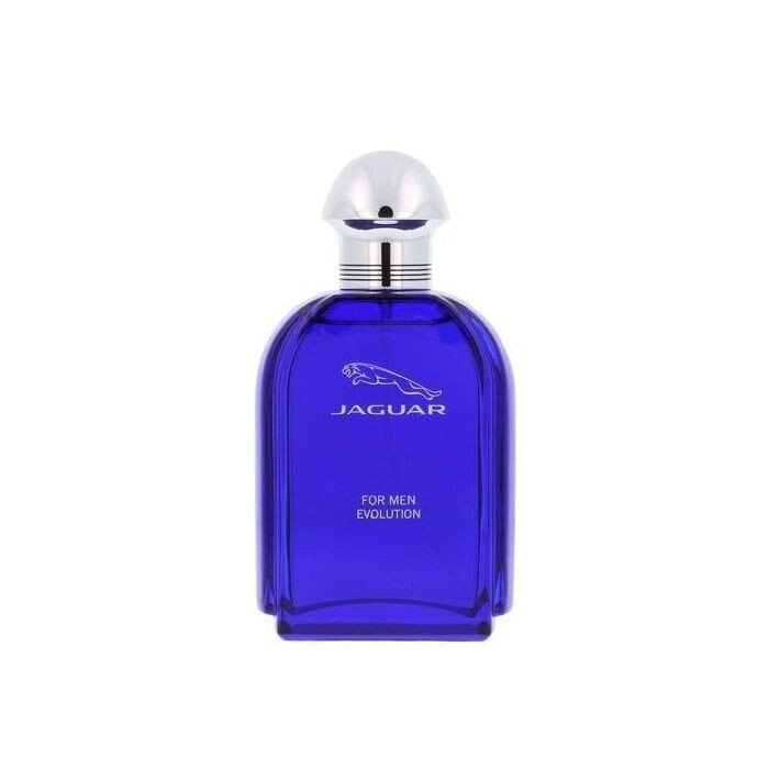 

Мужская туалетная вода For Men Evolution EDT Jaguar, 100 ml