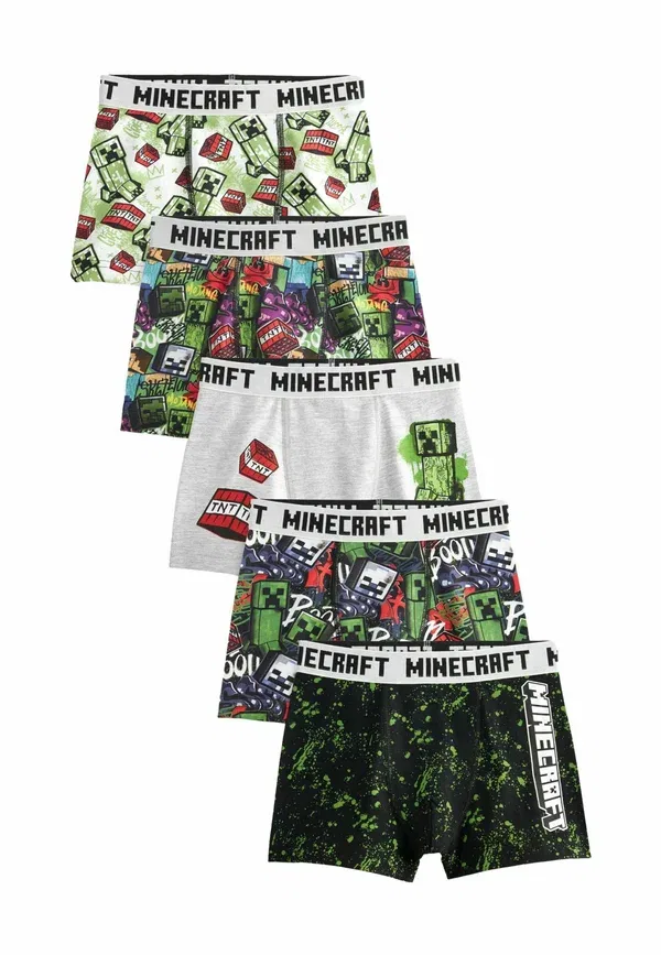 Боксеры с принтом License 5 pack Next, minecraft