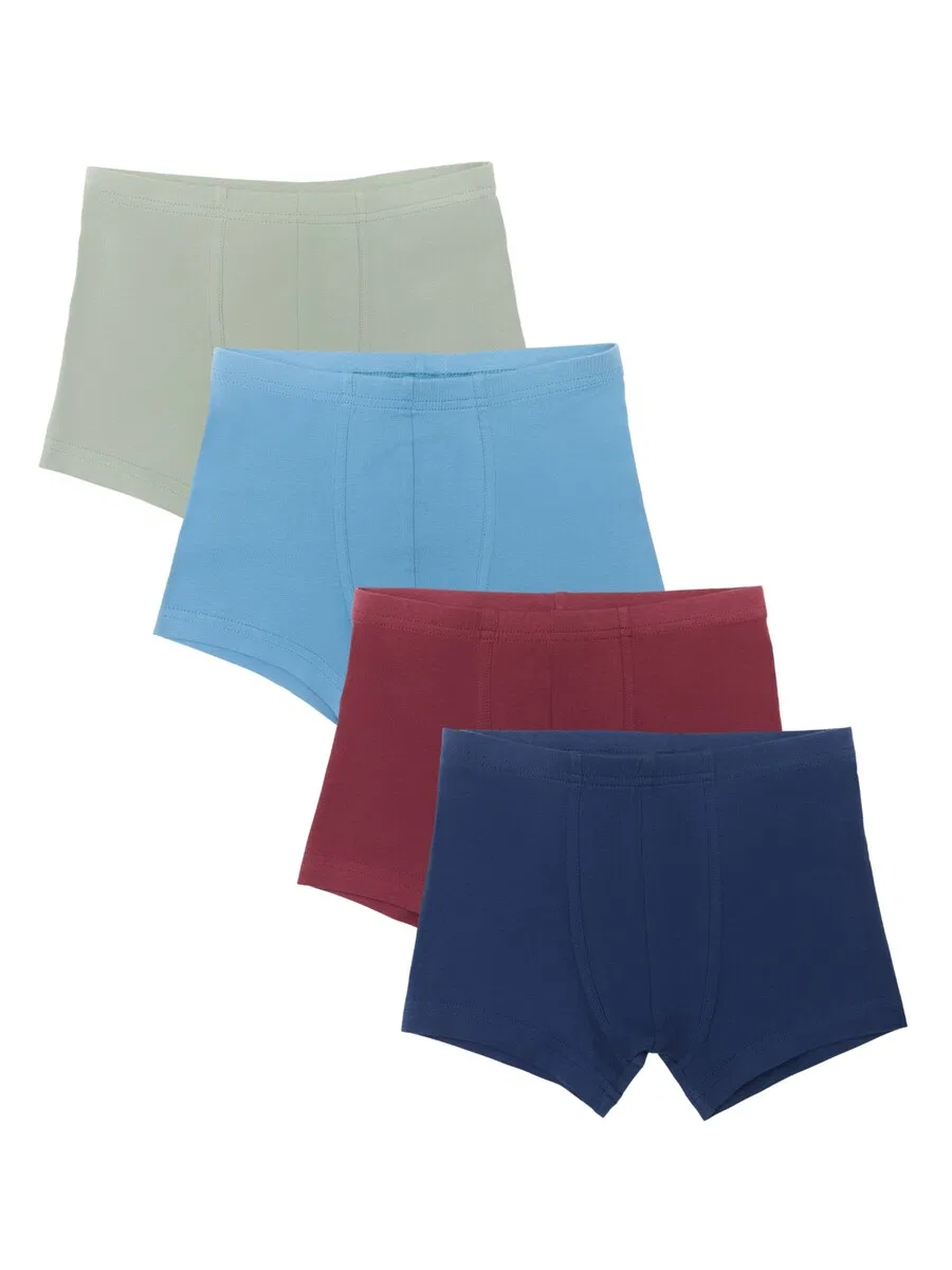 Комплект нижнего белья Albero Natur '4er-Set Bio-Baumwoll Jungen Retroshorts', мультиколор