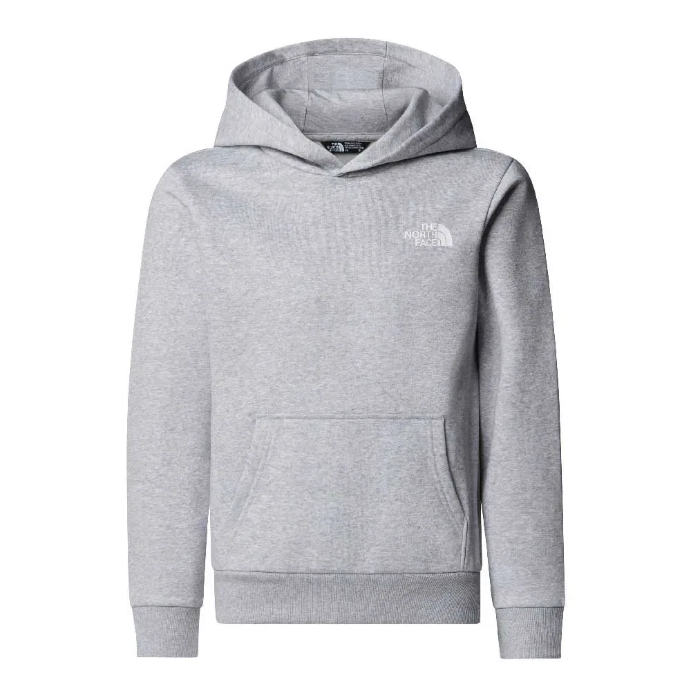 Детская худи для мальчиков Simple Dome Hoodie The north face, Grey — фото 2