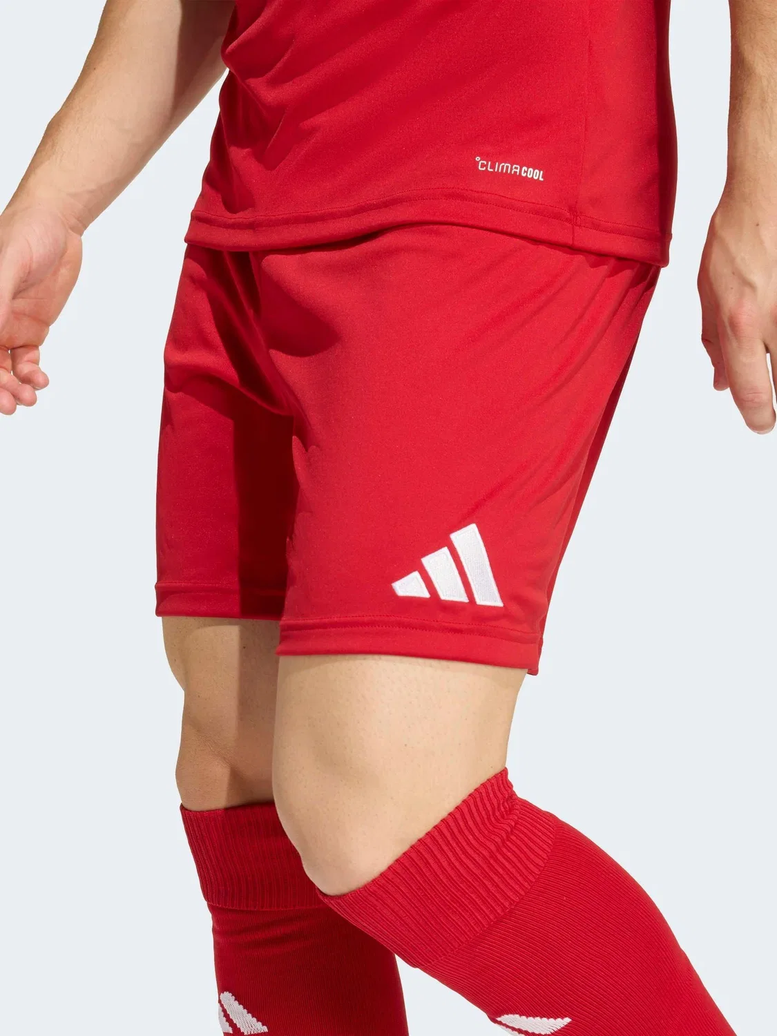 Шорты, Regular fit, Entrada 26 adidas, красный — фото 3