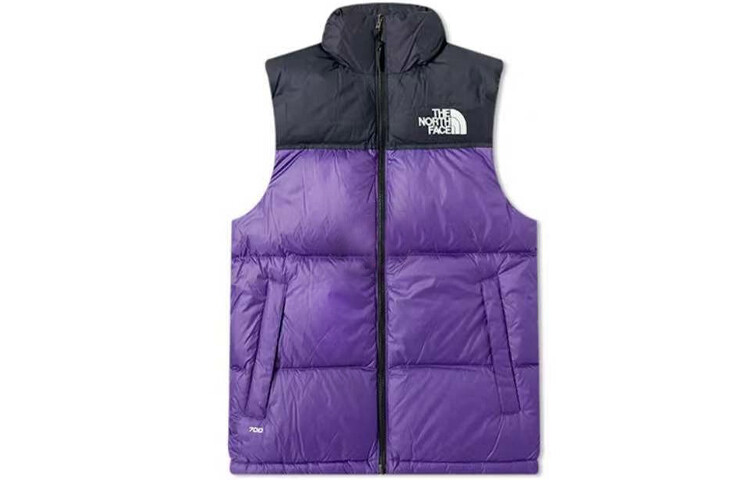 

1996 Коллекция Жилет Мужской Фиолетовый The North Face, фиолетовый