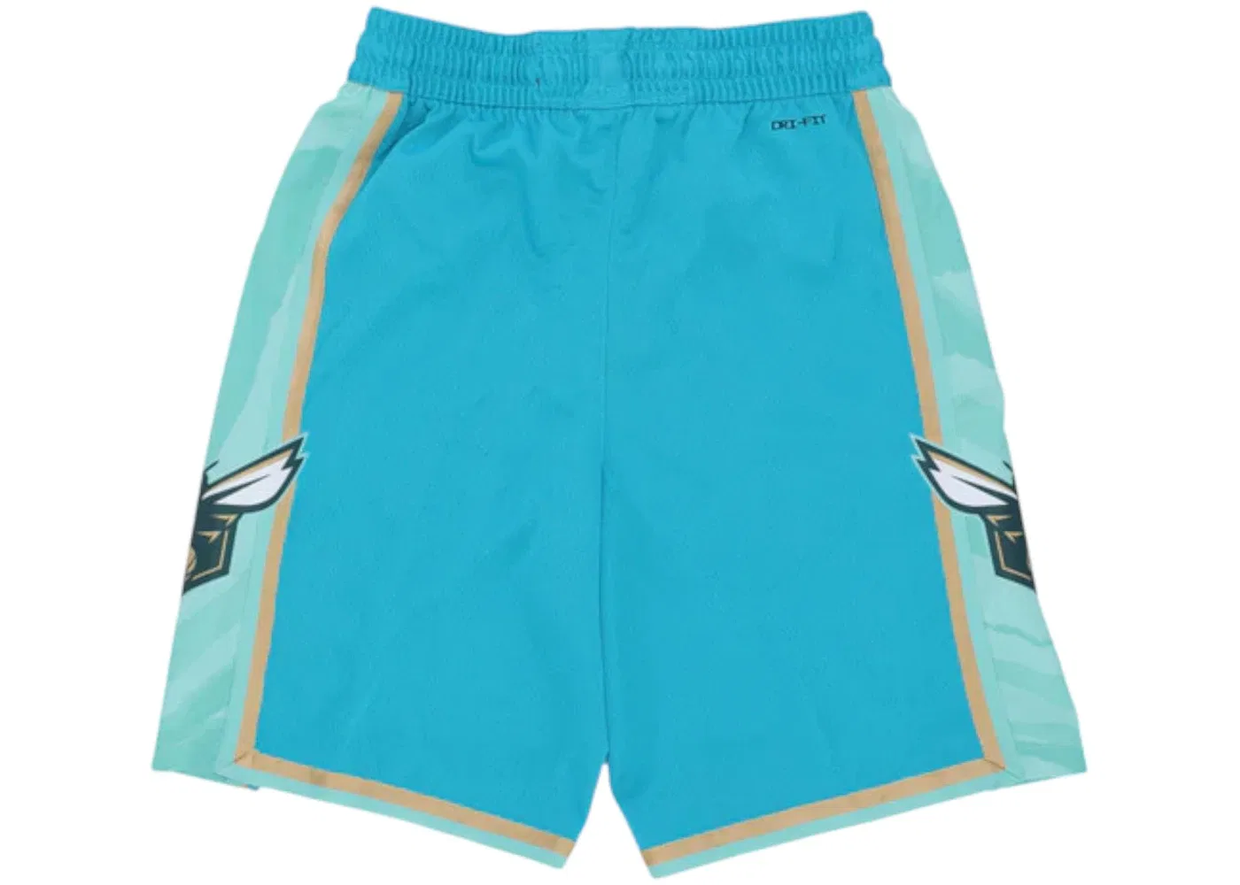Мужские шорты с принтом Nike NBA Charlotte Hornets City Edition 2023/24 Swingman, Teal/Club Gold — фото 2