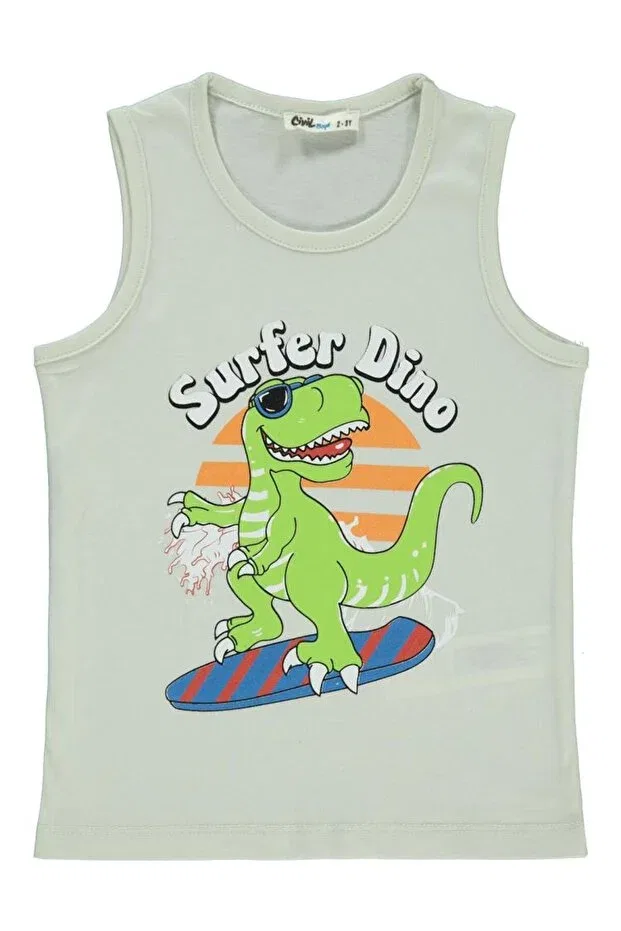 Детская футболка для мальчиков с принтом Surfer Dino Civil Boys, Light Gray