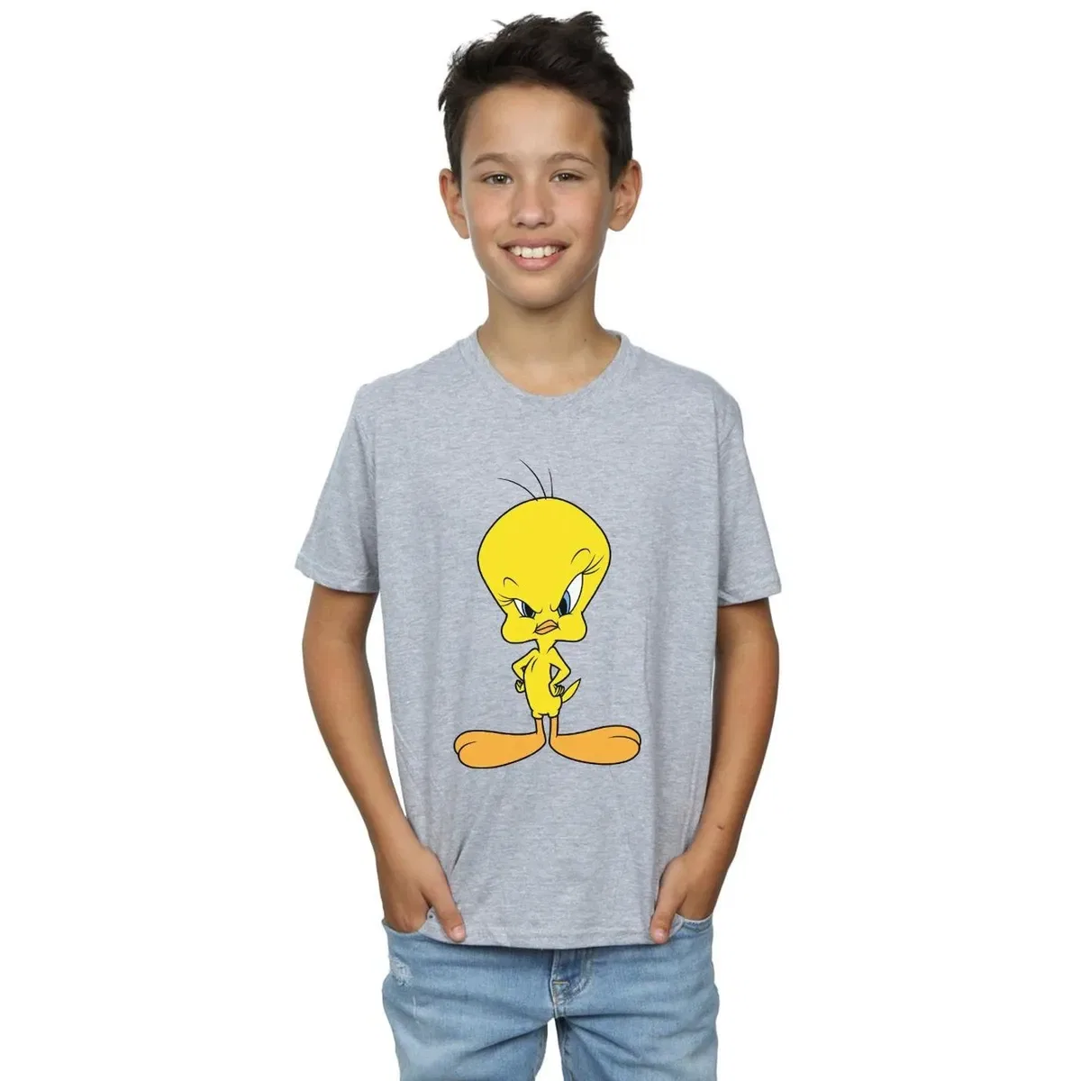 Футболка хлопковая Angry Tweety Looney Tunes, Grey