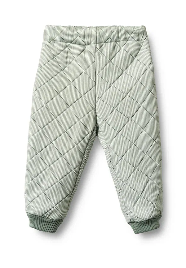 Брюки из полиэстера Hose thermo pants alex Wheat, Green Stripe, зеленый