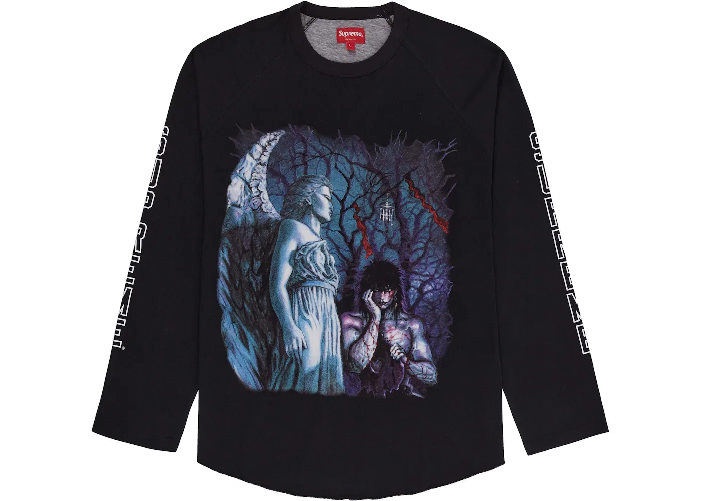 Мужская футболка с длинным рукавом Supreme The Crow Raglan L/S Tee, Black Graveyard