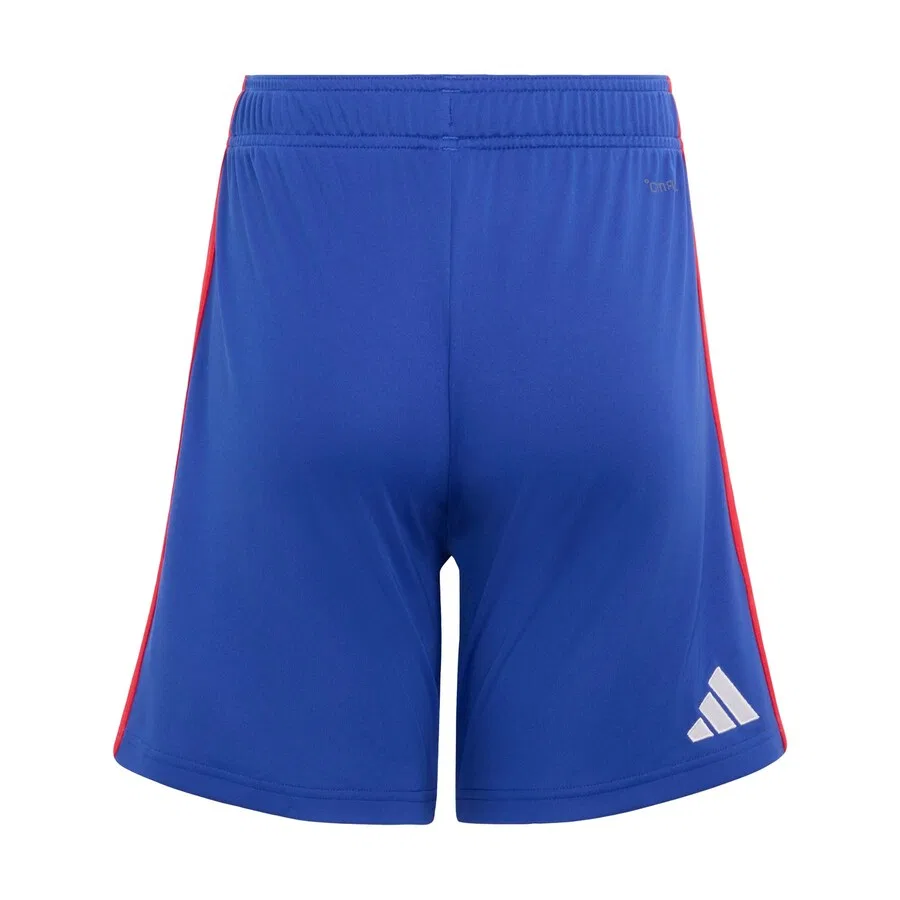 Спортивные шорты ADIDAS PERFORMANCE Regular Workout Pants 'Olympique Lyon 26/27' синего цвета — фото 2
