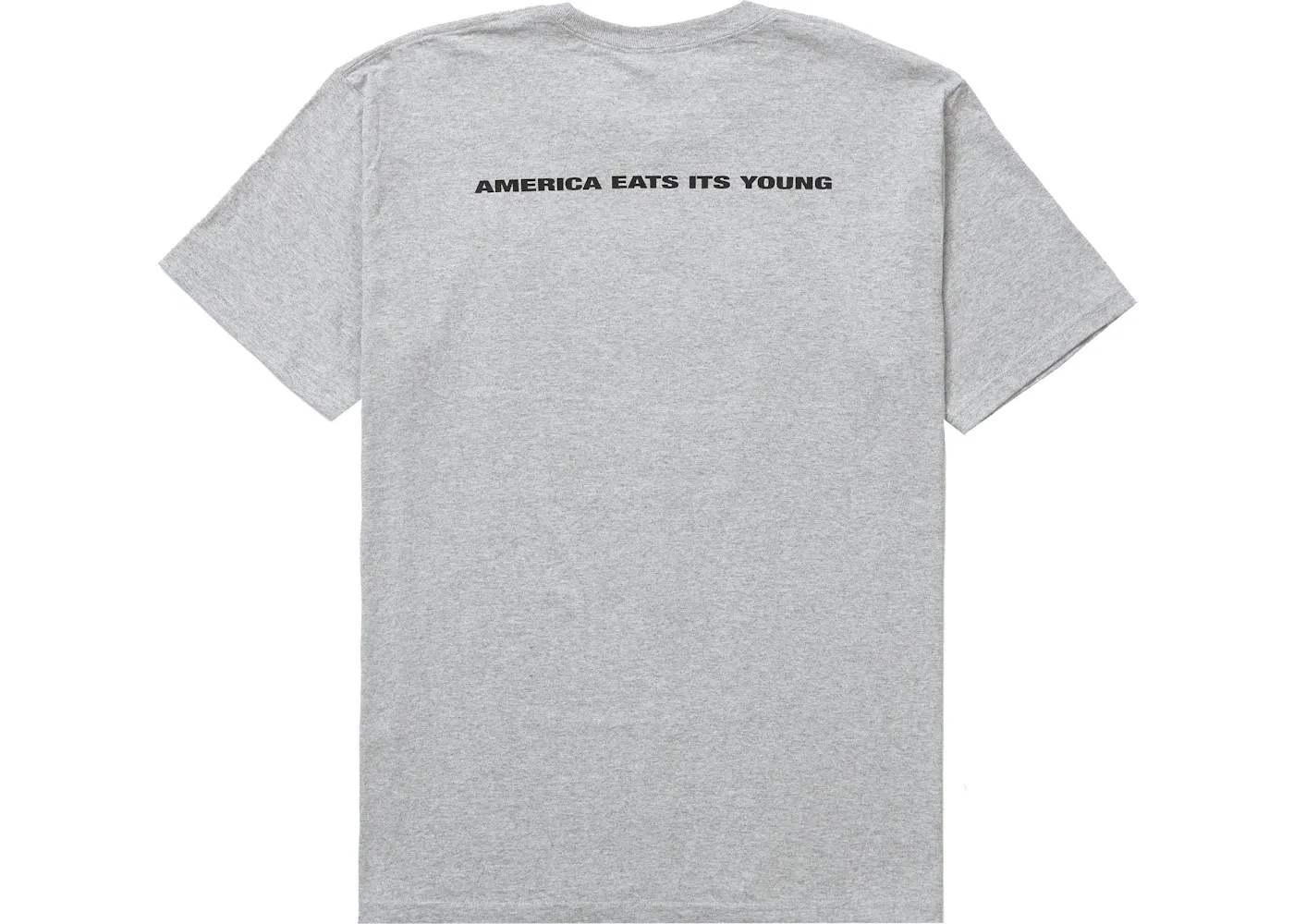 Мужская футболка с принтом Supreme America Eats Its Young Tee, Heather Grey — фото 2