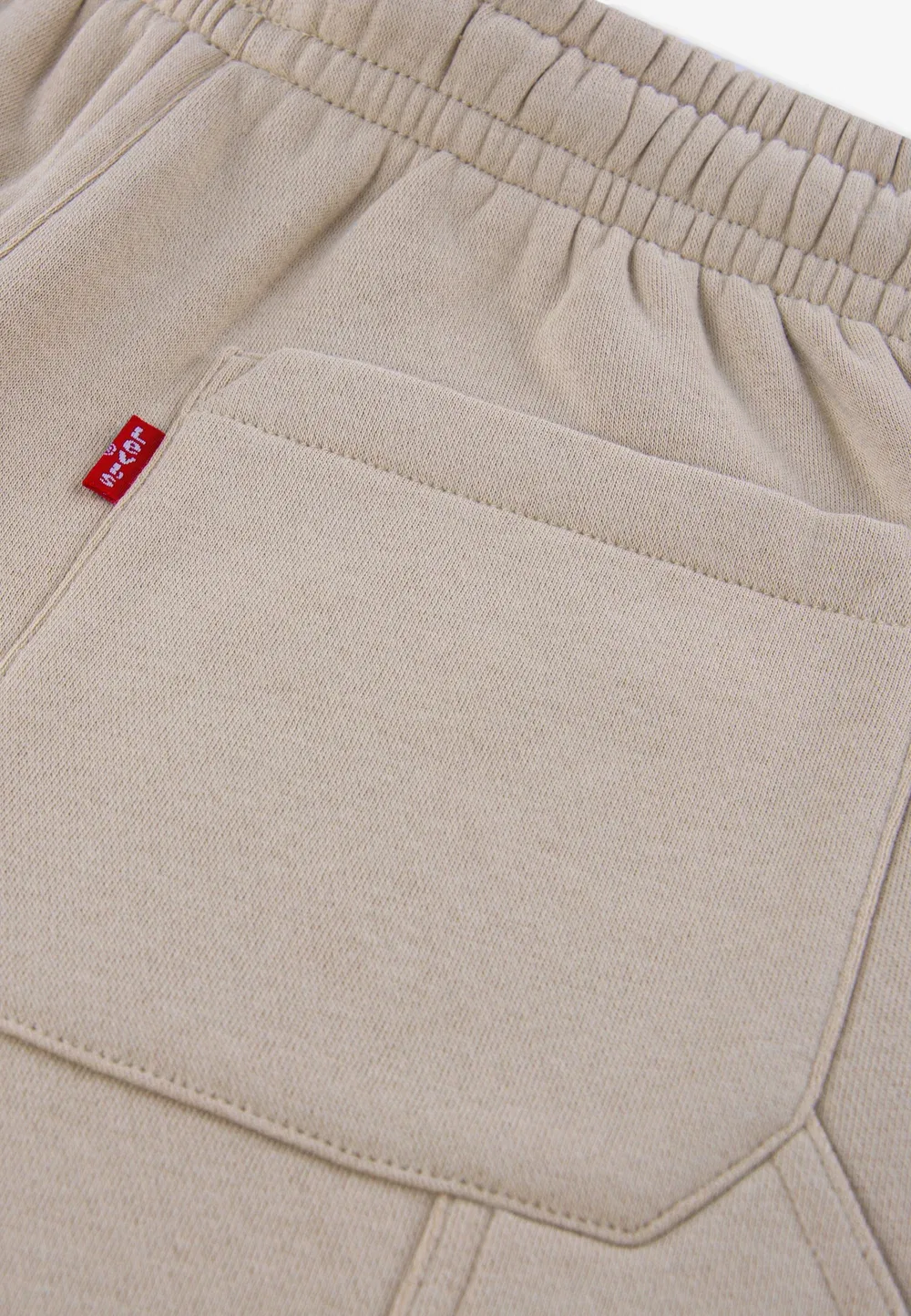 Свободные рабочие штаны - спортивные штаны Levi'S, Fields Of Rye — фото 3