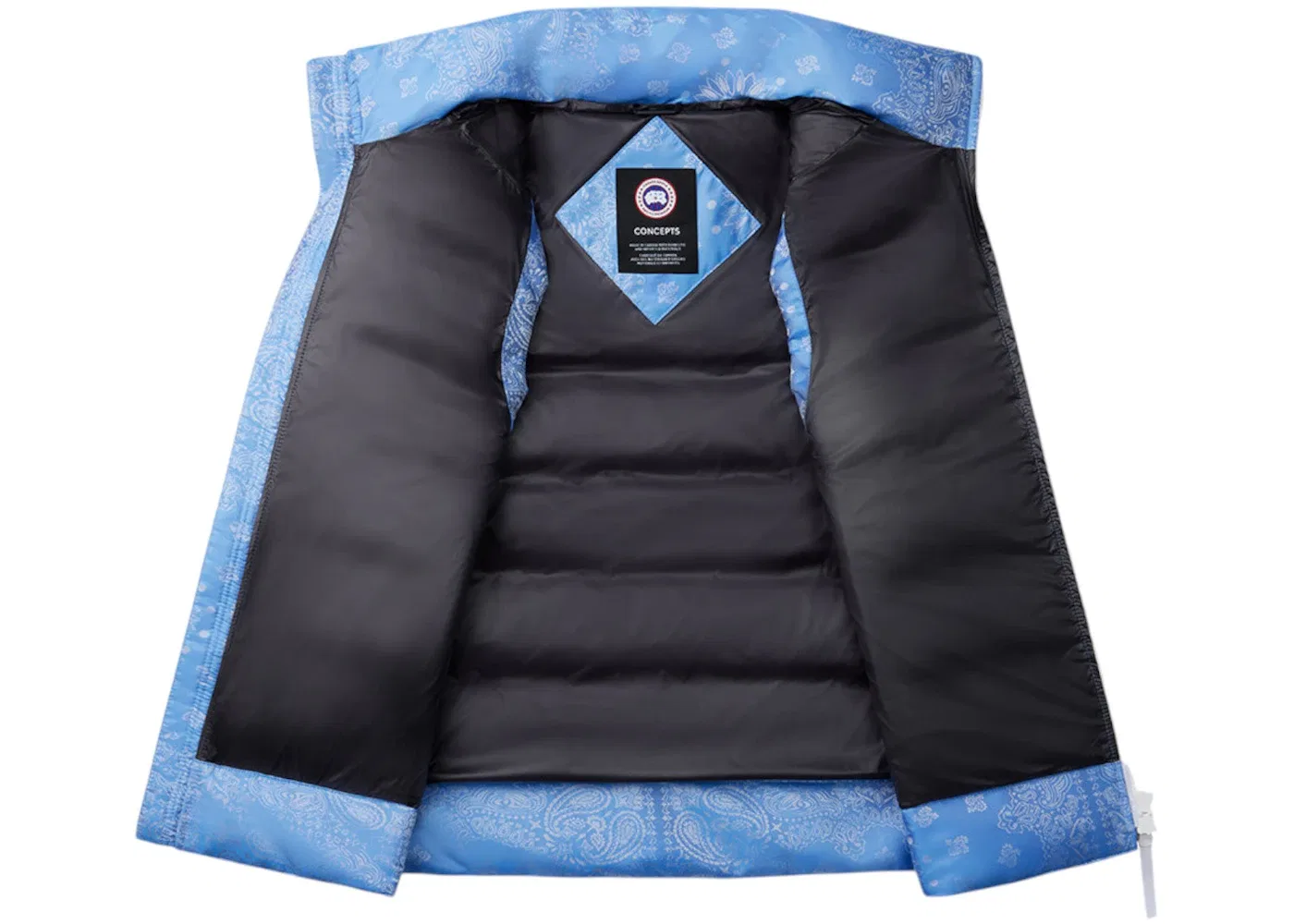 Мужской жилет с принтом Bandana Canada Goose, Polar Sky — фото 2