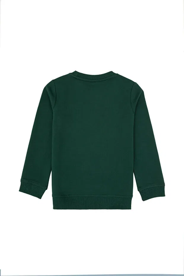 Детские свитшот для мальчиков хлопковый U.S. Polo Assn., Dark Green — фото 2