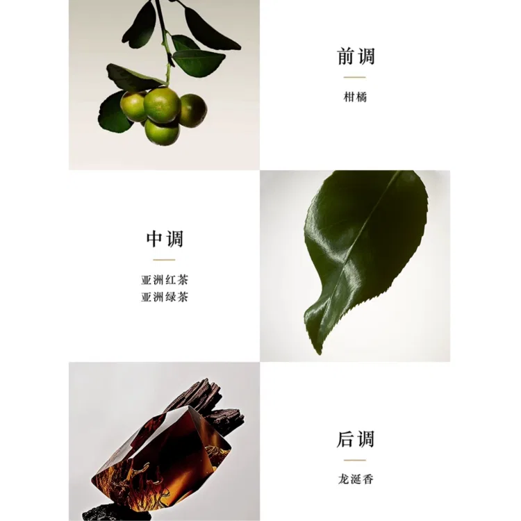 Парфюмерный набор Giorgio Armani Jade Dragon Tea, 50 мл + 7,5 мл — фото 4