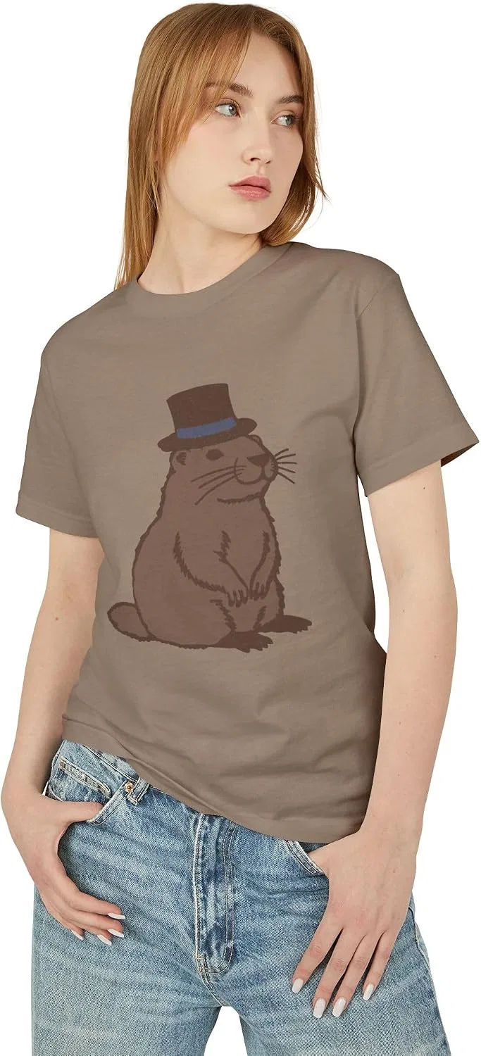 Футболка с принтом сурка в цилиндре American Apparel 1301gd, Faded Brown — фото 4
