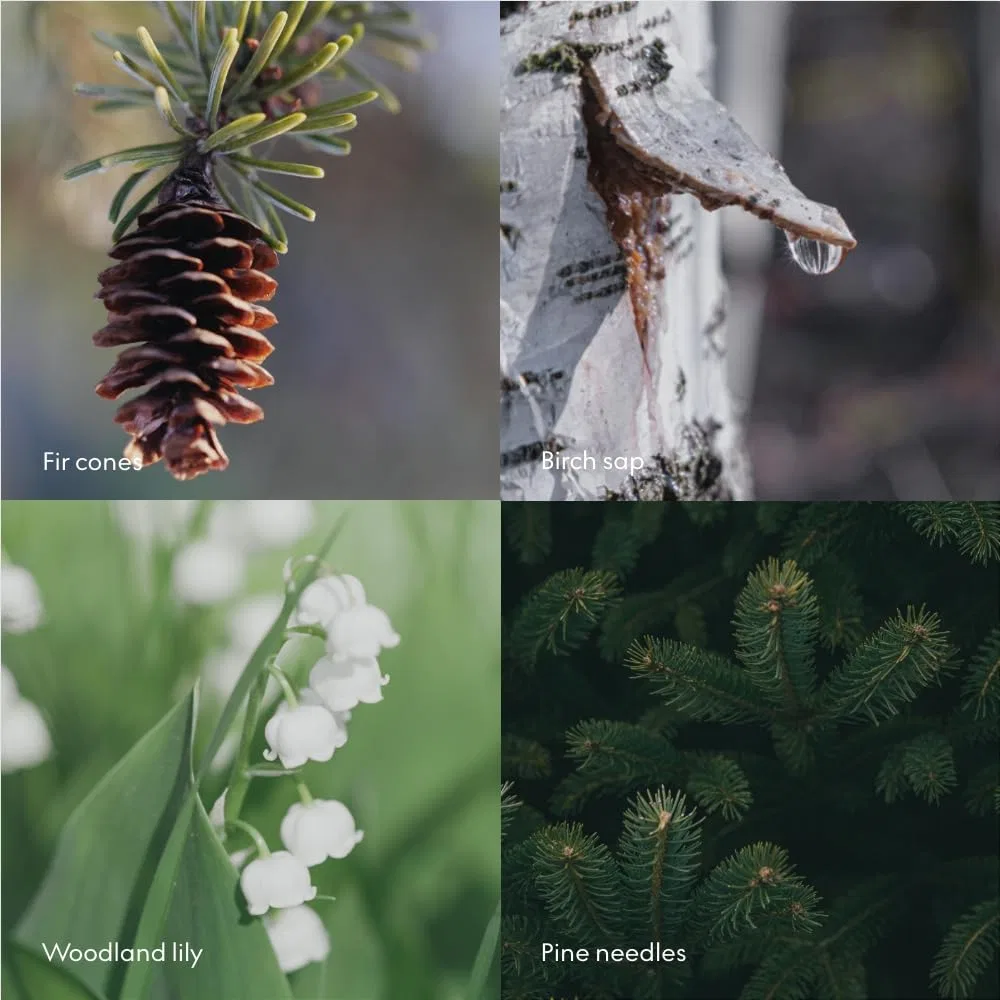 Гель для душа и рук Skandinavisk Skog 'Forest', 1 л, Aloe Vera — фото 2