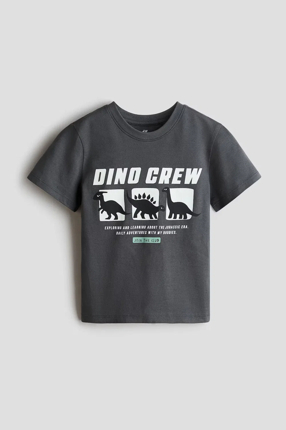 Хлопковая футболка с принтом H&M, Grau/Dino Crew