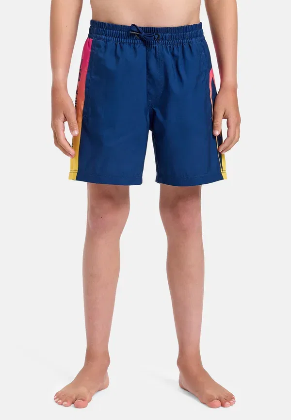 Плавки с принтом Everyday Holmes Volley Quiksilver, Bsw