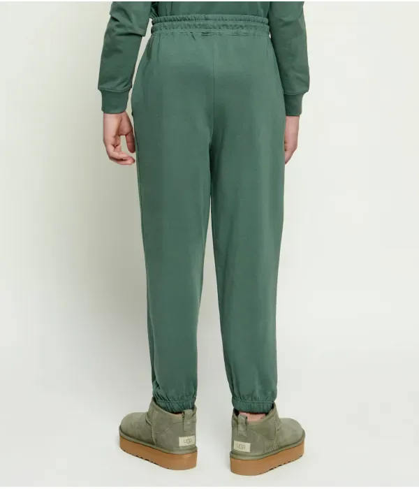 Спортивные штаны regular fit Aeronautica Militare, зеленый — фото 3
