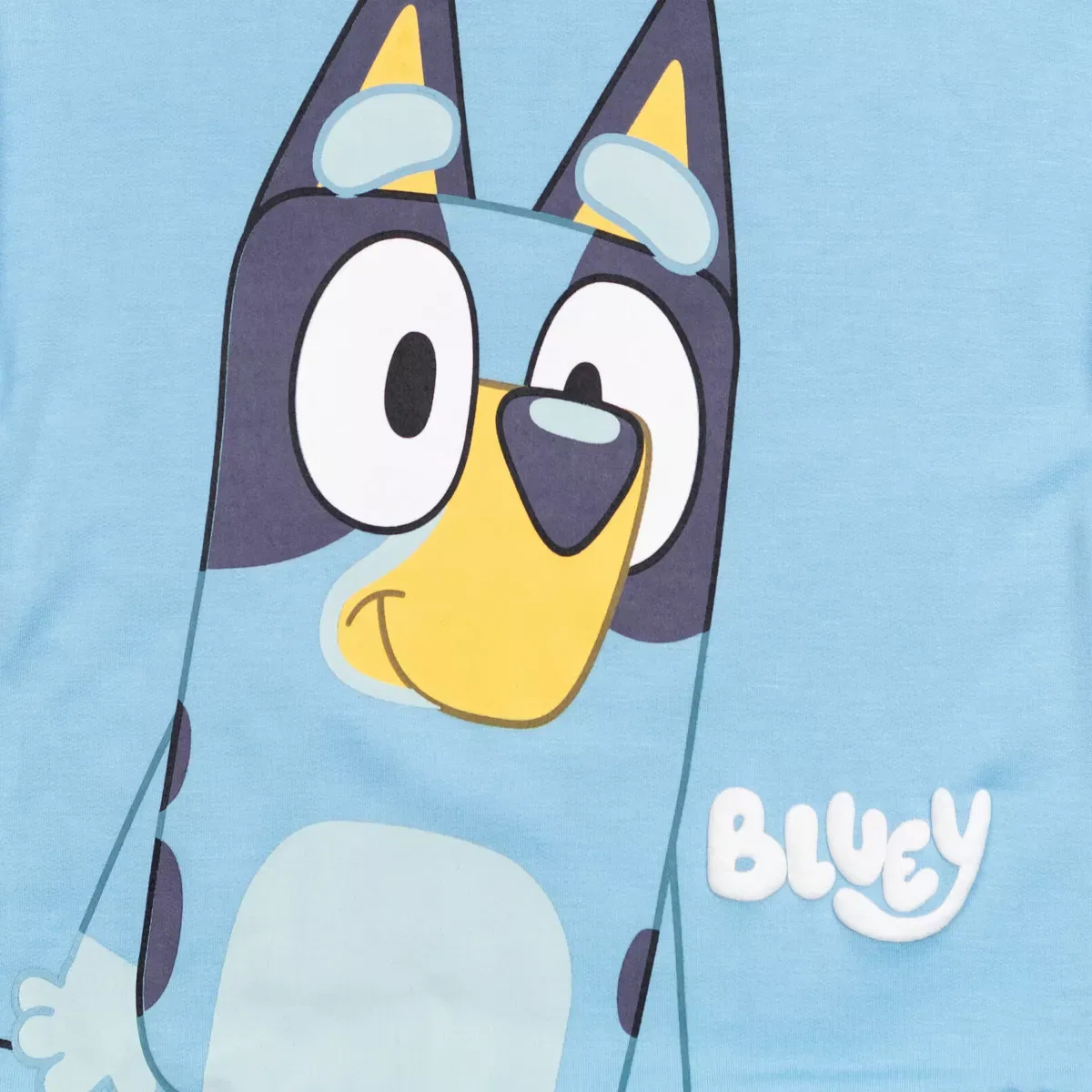 Детский комплект для мальчиков с принтом Bluey Fleece Hoodie Pants Outfit Set Bluey, Blue — фото 3