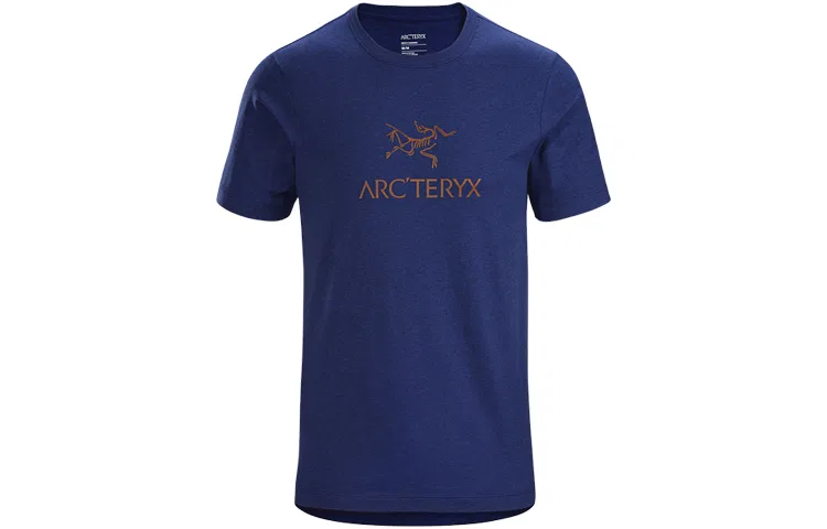 Мужская футболка с принтом Arcteryx, 24K Black — фото 4