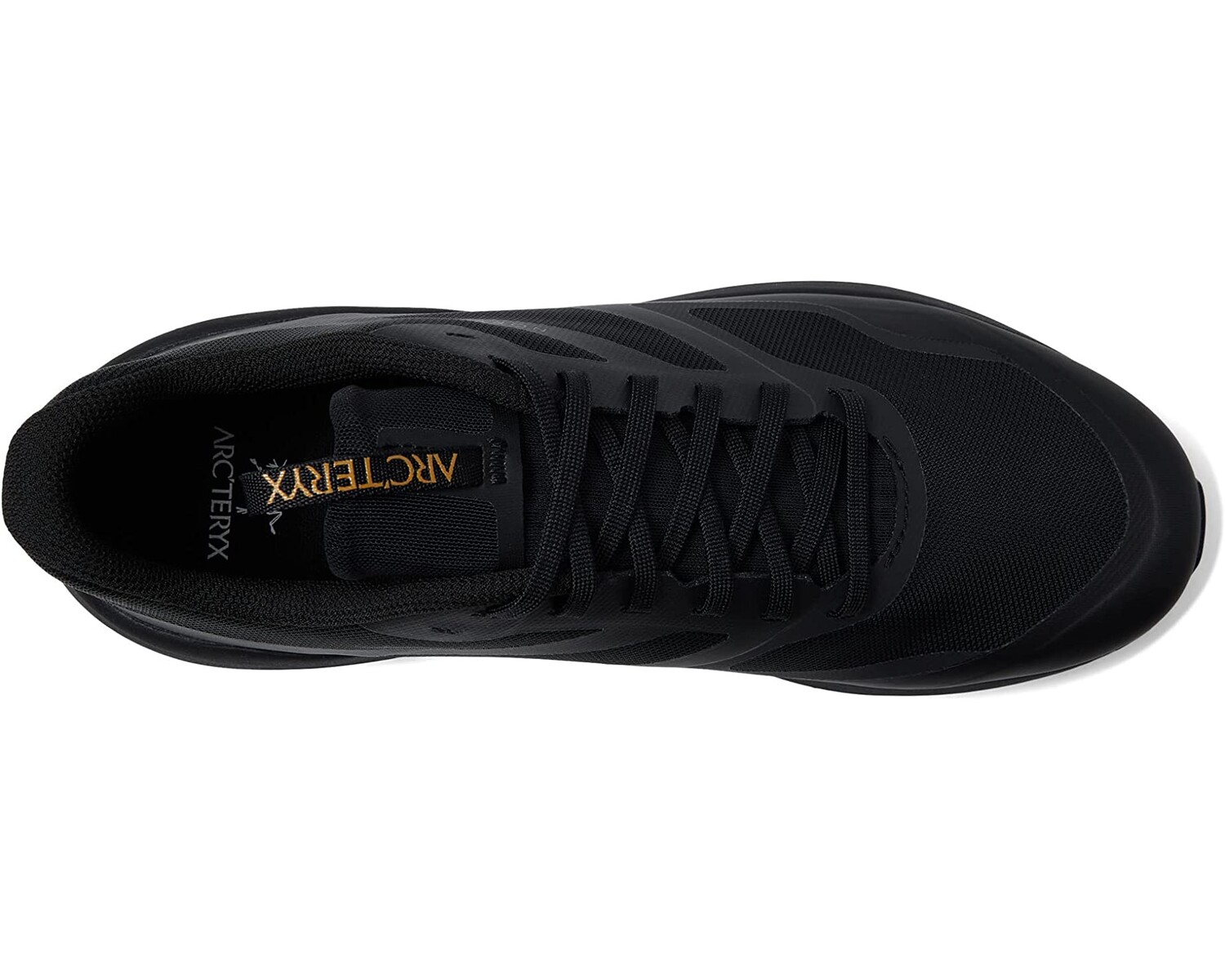 

Кроссовки Norvan LD 3 Arc'teryx, черный