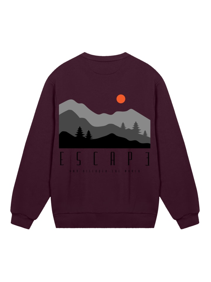 

Толстовка F4NT4STIC, бордовый