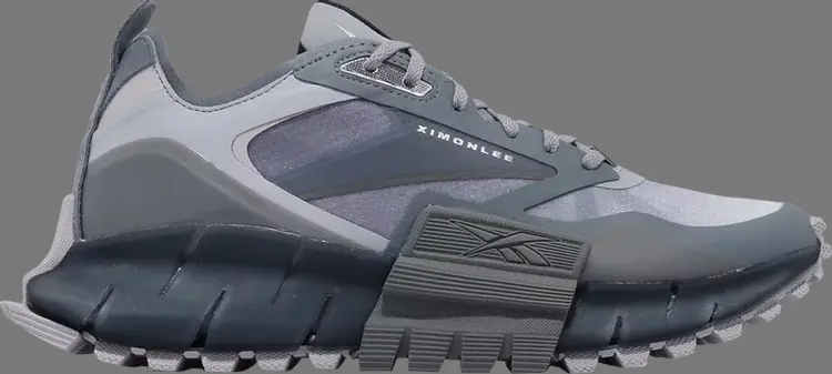 

Кроссовки ximon lee x zig kinetica horizon edge 'snake pack - metallic grey navy' Reebok, серый