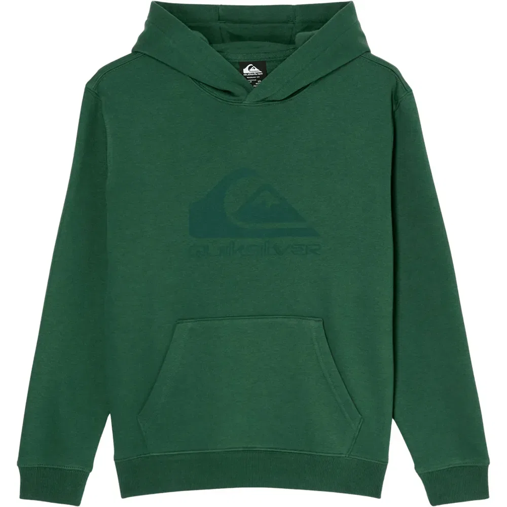 Детское худи для мальчиков с принтом Comp Logo Quiksilver, Green