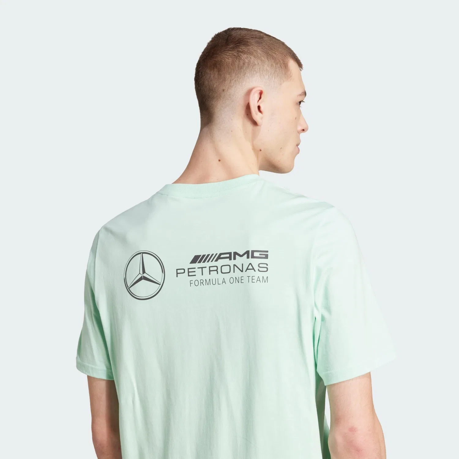 Мужская футболка с графическим принтом Mercedes-AMG Petronas Formula One Team Adidas, Grun Grauviolett — фото 4