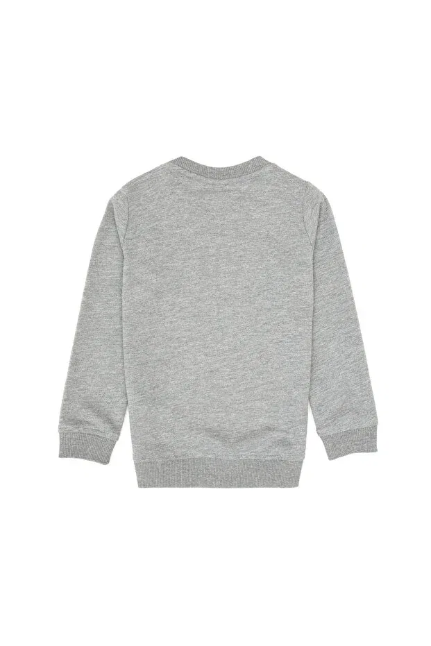 Детские свитшот для мальчиков с длинным рукавом U.S. Polo Assn., Gray Melange — фото 2