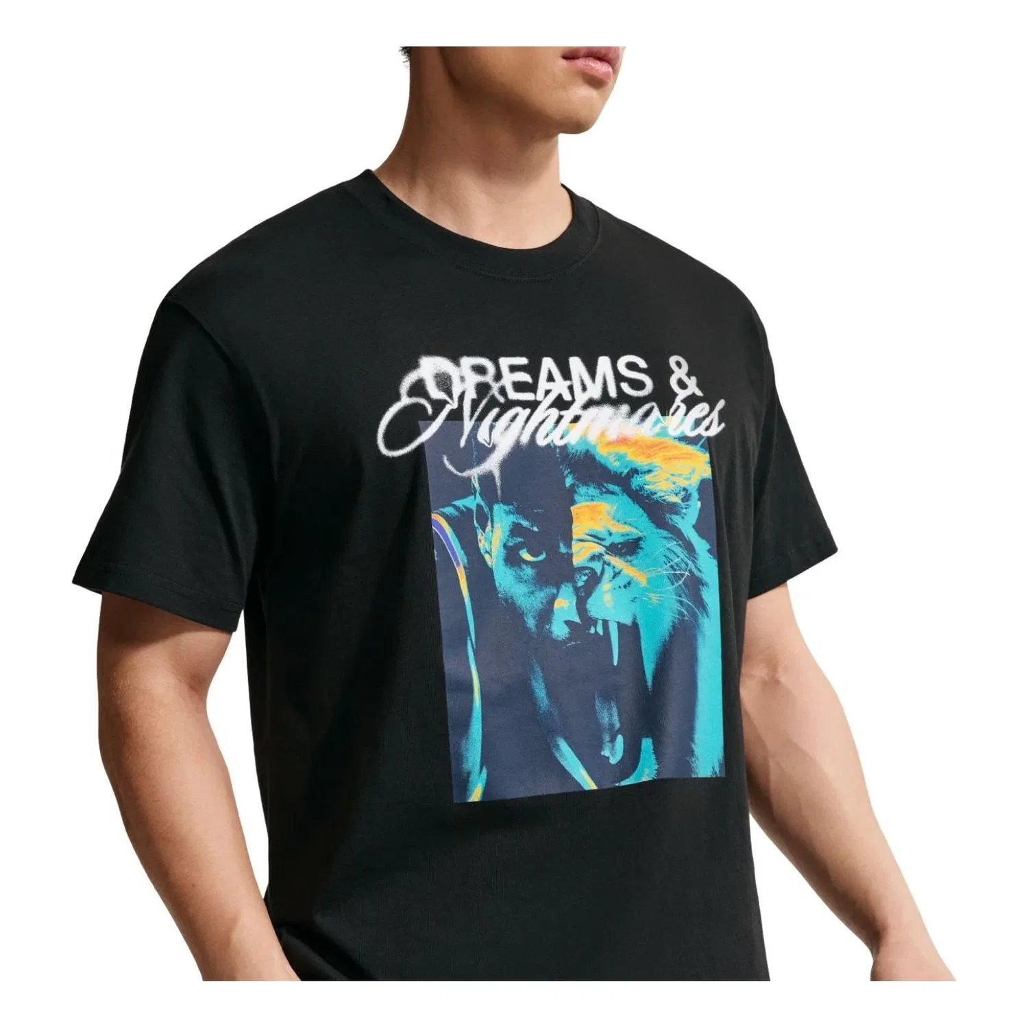 Мужская футболка с принтом Dreams And Nightmares Nike, черный