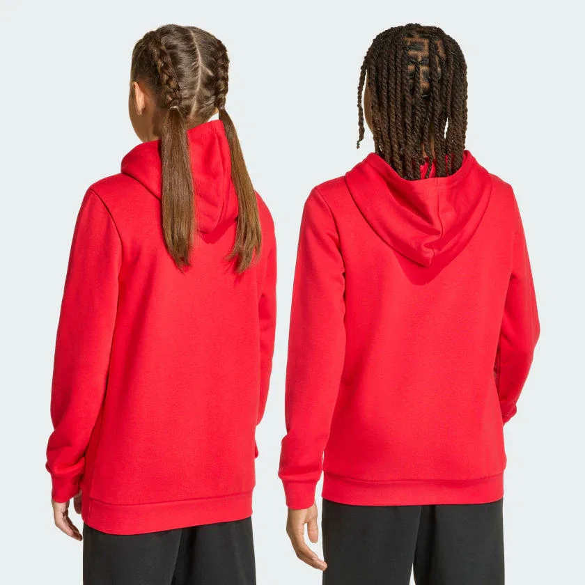 Детская толстовка adidas CODES COLLEGIATE GRAPHIC, Pure Ruby — фото 2