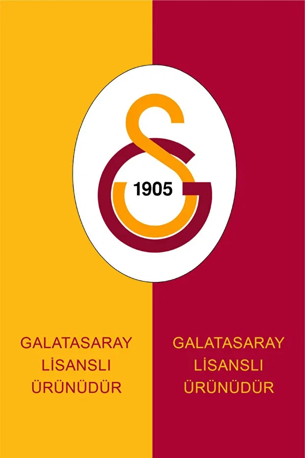 Детское худи для девочек с принтом Galatasaray, Sweat Black-Red — фото 3