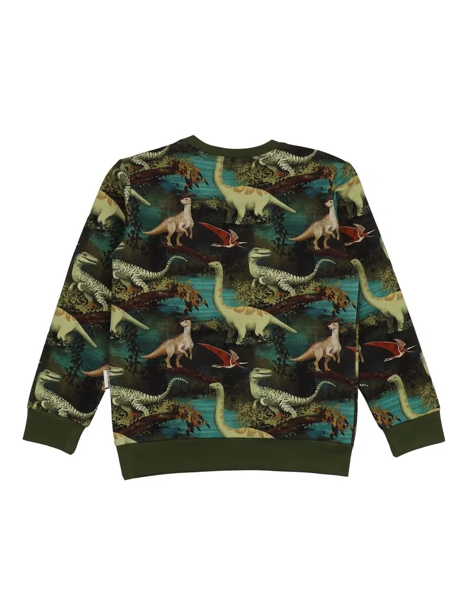 Толстовка Walkiddy 'Walkiddy - Dinasour Jungle-Sweatshirt Sweatshirt' зеленого цвета — фото 2