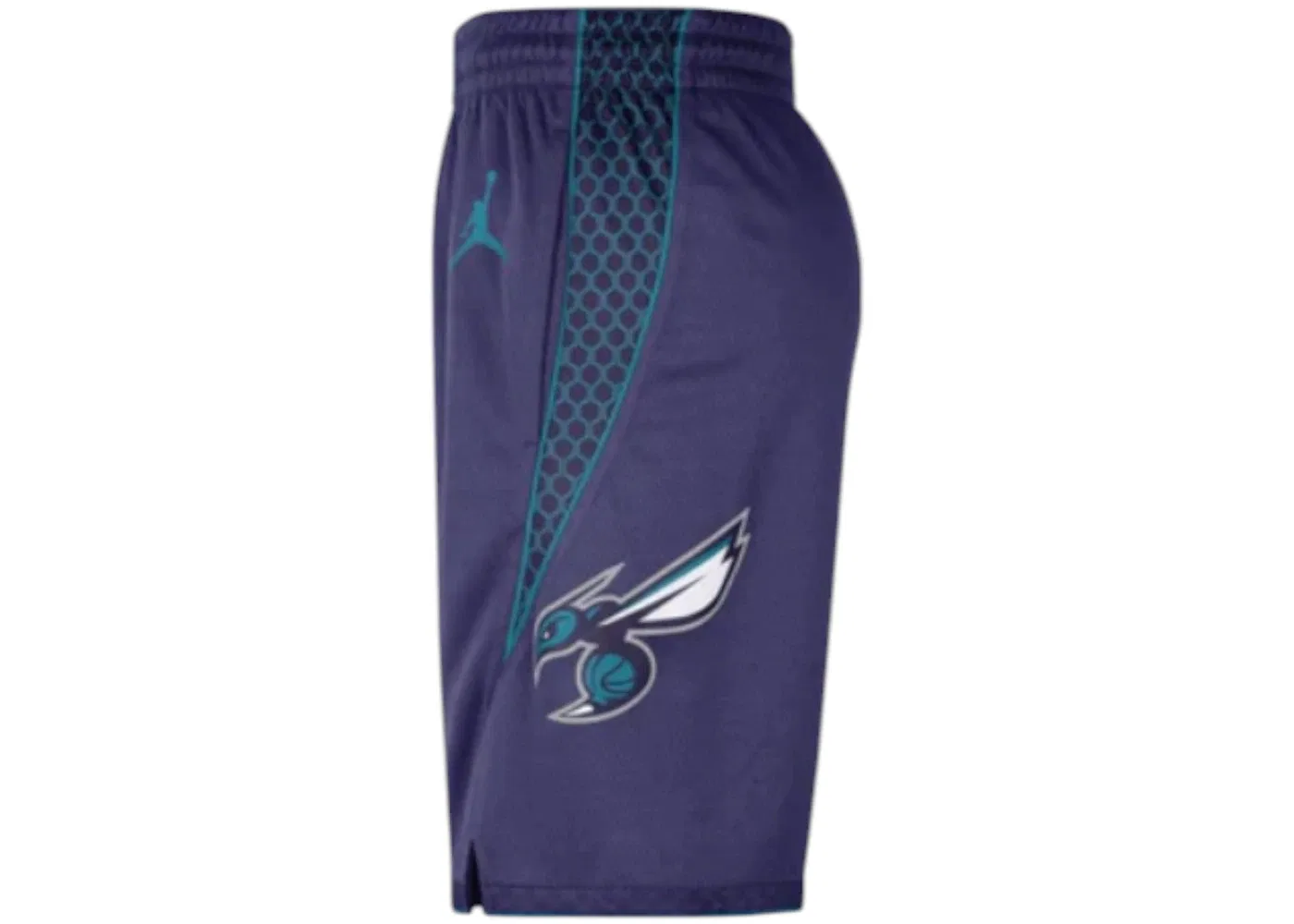 Мужские шорты с принтом Jordan Charlotte Hornets Statement Edition, Purple/White/Teal — фото 2