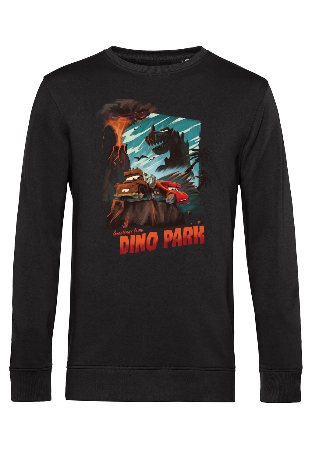 

Толстовка CARS-CARS 2 DINO POSTCARD Disney, черный