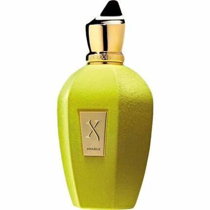 Xerjoff Amabile для унисекс, 3,4 унции, 100 мл, спрей Edp, новый тестер с крышкой — фото 3
