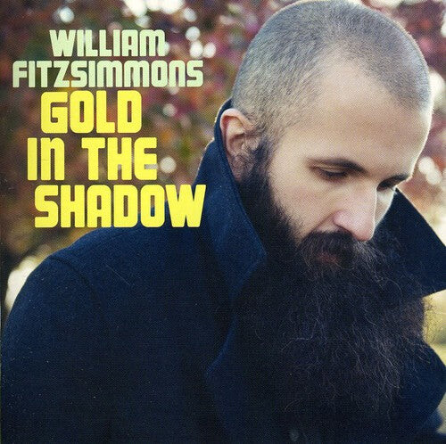 

CD диск Fitzsimmons, William: Gold in the Shadow