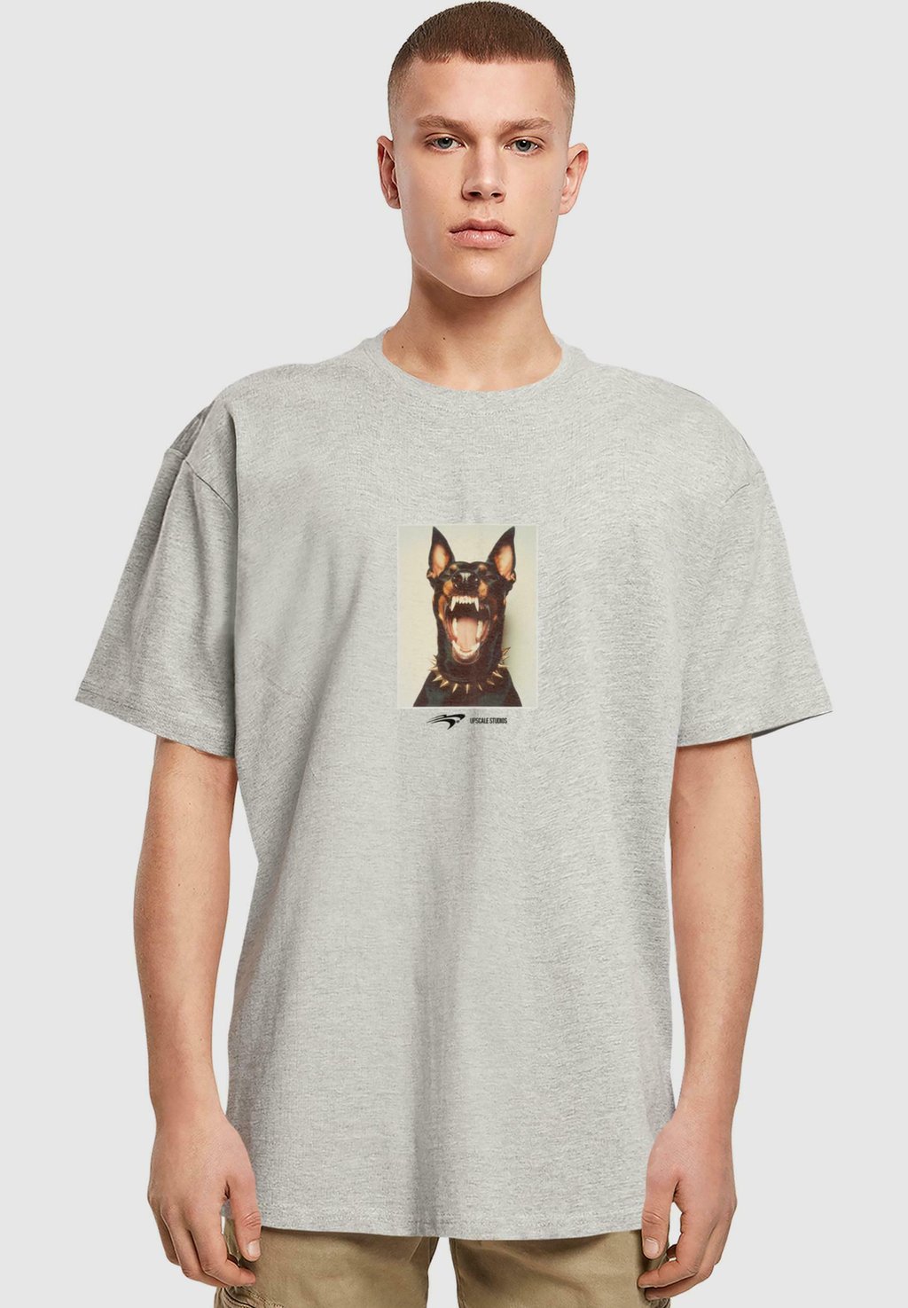 

Футболка с принтом Upscale by Mister Tee, серый