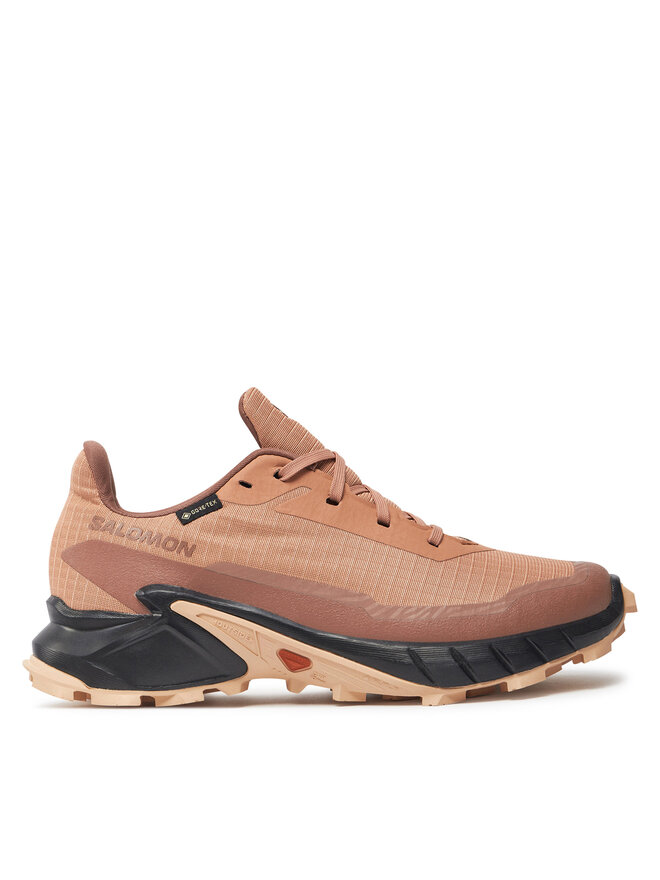 

Беговые кроссовки Salomon Alphacross 5 Gore-Tex L47595100, коралловый