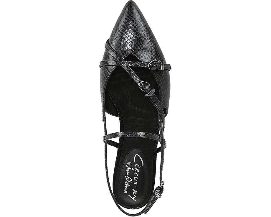 Туфли на плоской подошве Circus NY by Sam Edelman Lindley, цвет Black Snake — фото 2