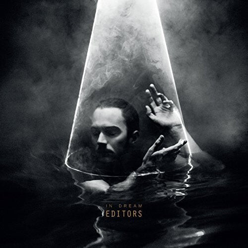 

Виниловая пластинка Editors: In Dream