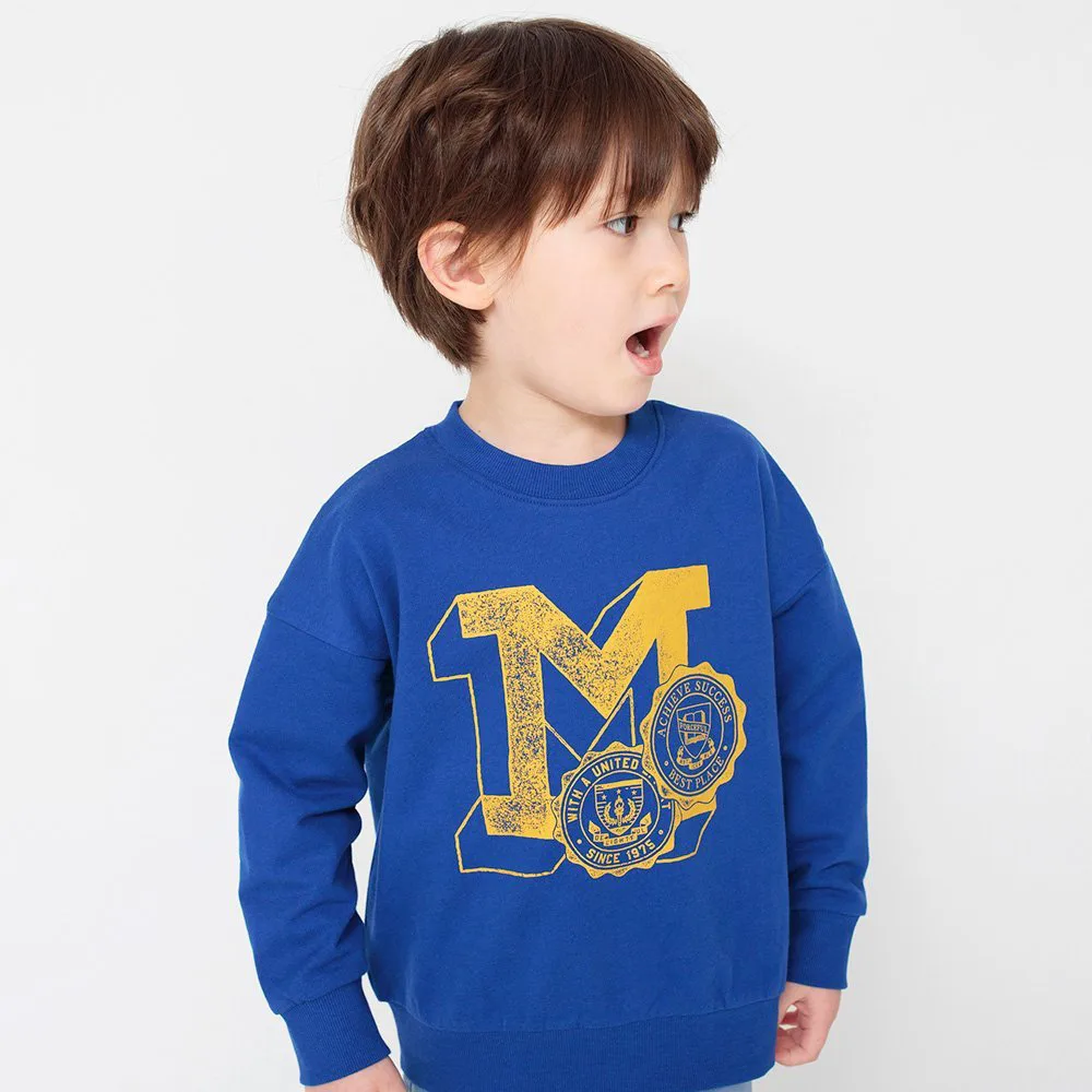 Толстовка Толстовки с принтом Branshes, Royal Blue