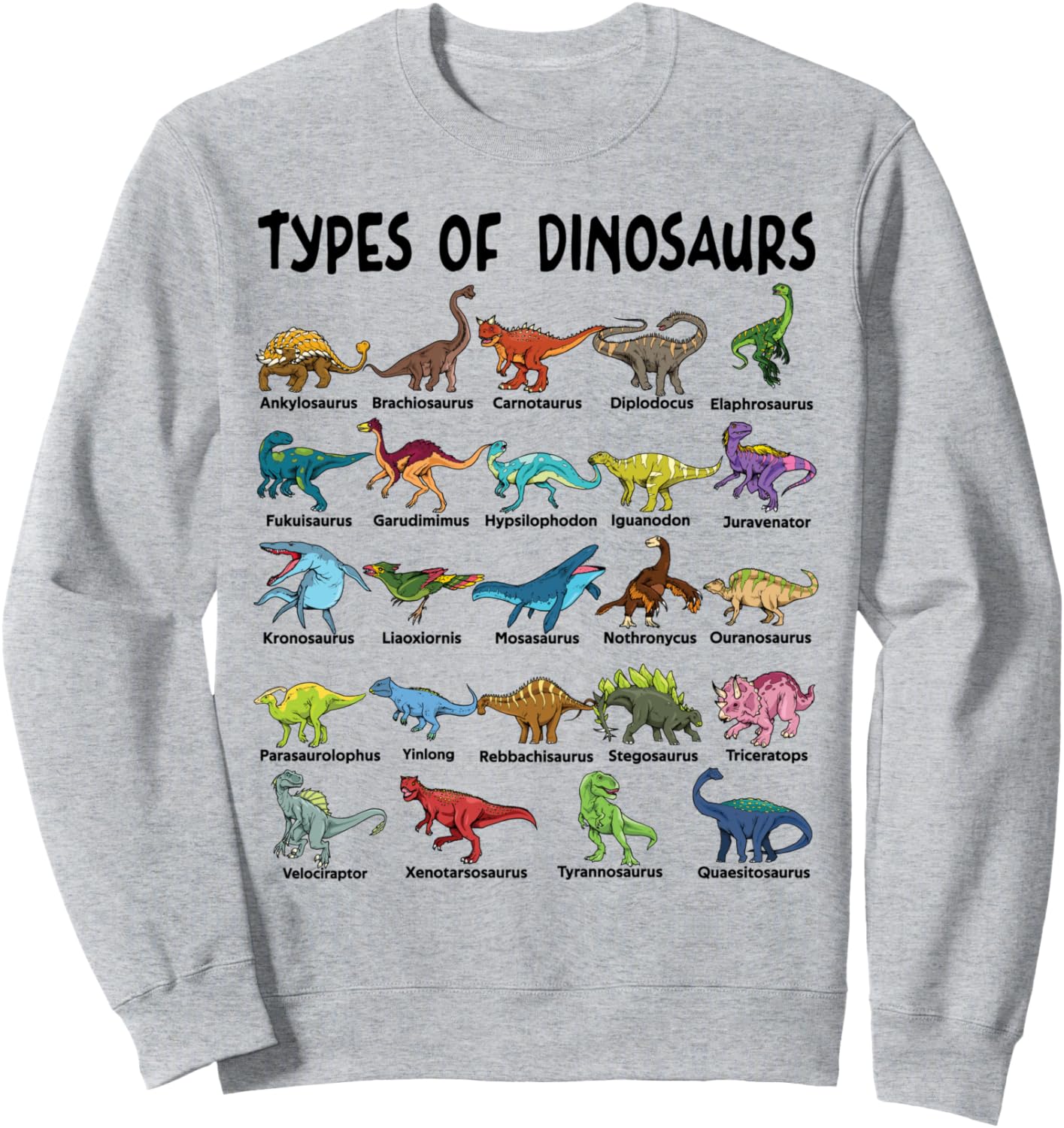 

Тип динозавра Идентификация динозавра Женская Мужская Детская Толстовка Types Of Dinosaurs Educational Alphabet Kids Gift, серый