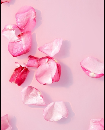 Гель для душа NIVEA Rose & Almond Oil, 750 ml — фото 2